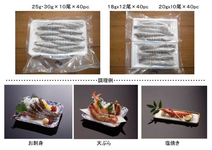 プロトン冷凍
